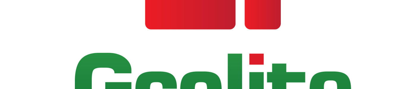 Sales Executive